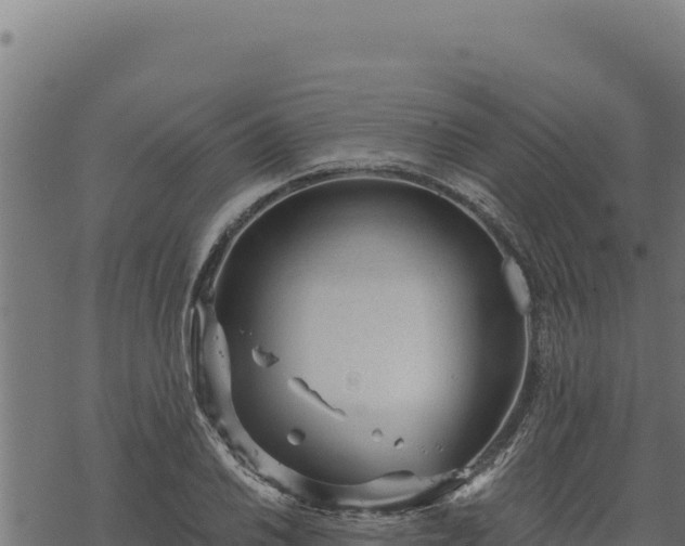 X0000068831030200605121336