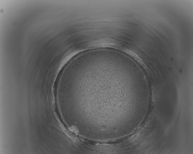 X0000068831031200605121336