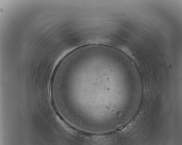 X0000068831032200605121336