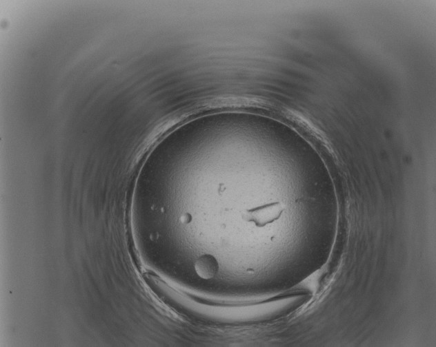 X0000068831033200605121336