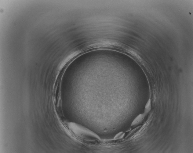 X0000068831034200605121336