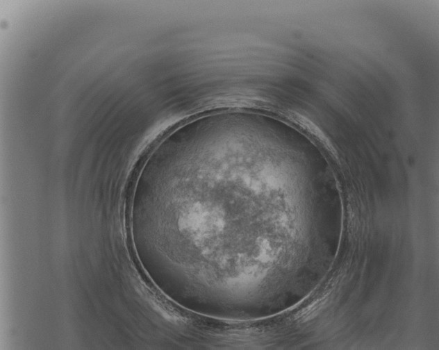 X0000068831035200605121336