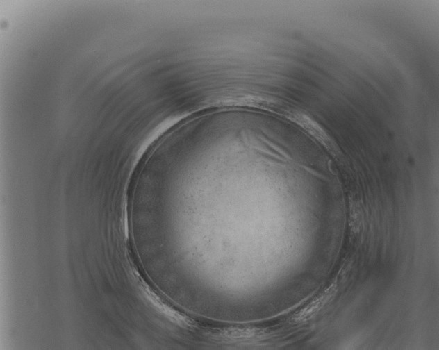 X0000068831036200605121336