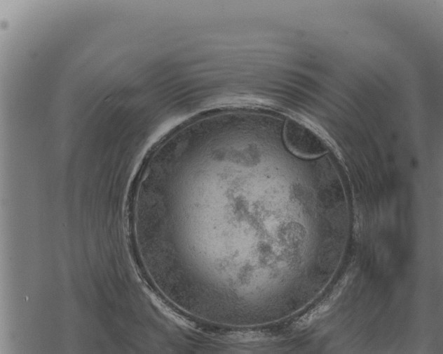 X0000068831037200605121336