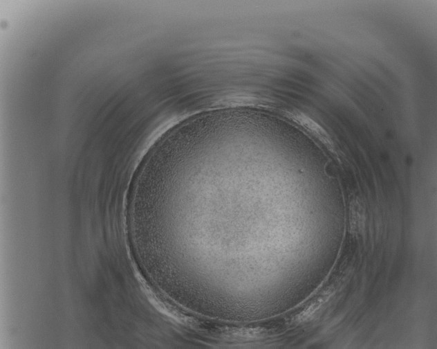 X0000068831039200605121336