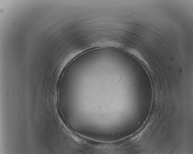 X0000068831040200605121336