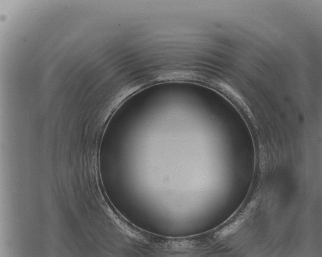 X0000068831041200605121336