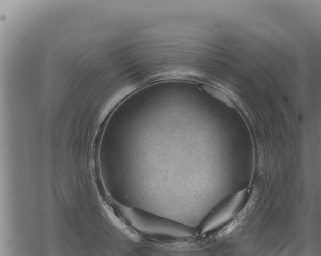 X0000068831042200605121336