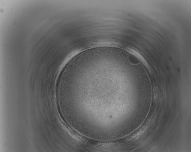 X0000068831043200605121336