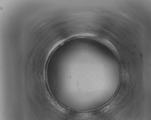 X0000068831044200605121336