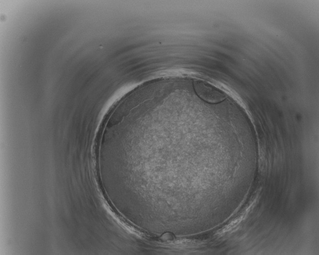 X0000068831045200605121336