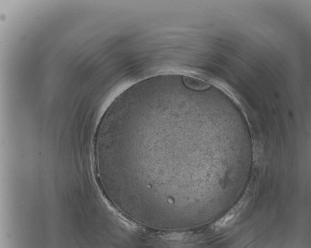 X0000068831048200605121336