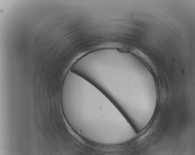 X0000068831049200605121336