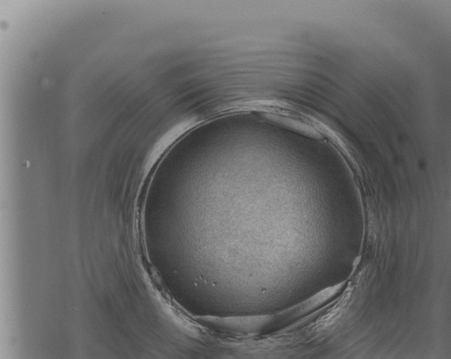 X0000068831050200605121336