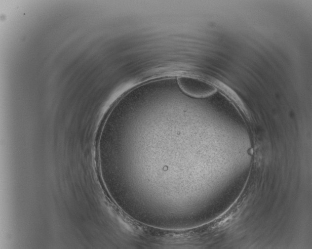 X0000068831051200605121336