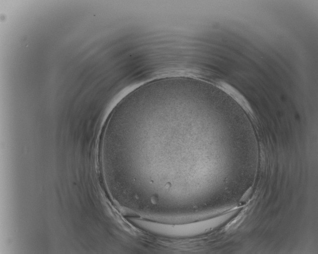 X0000068831052200605121336