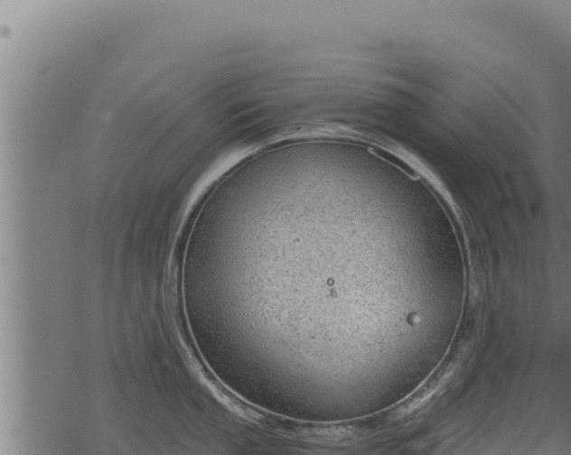 X0000068831053200605121336