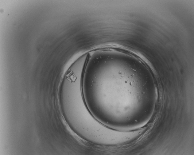 X0000068831054200605121336