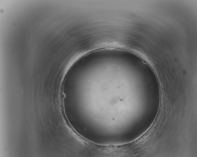 X0000068831056200605121336