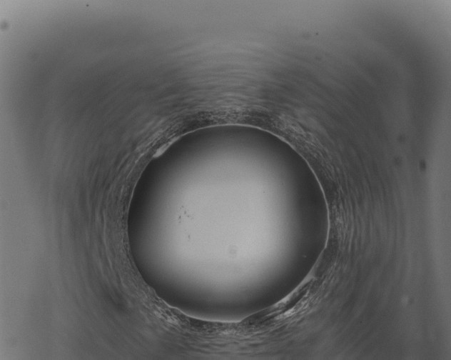 X0000068831057200605121335