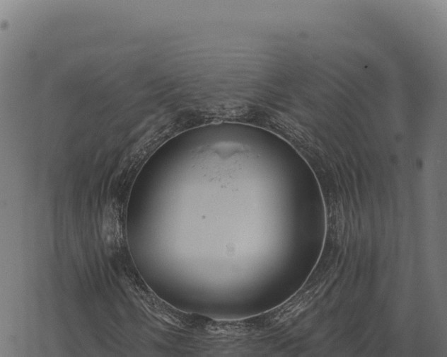 X0000068831058200605121335