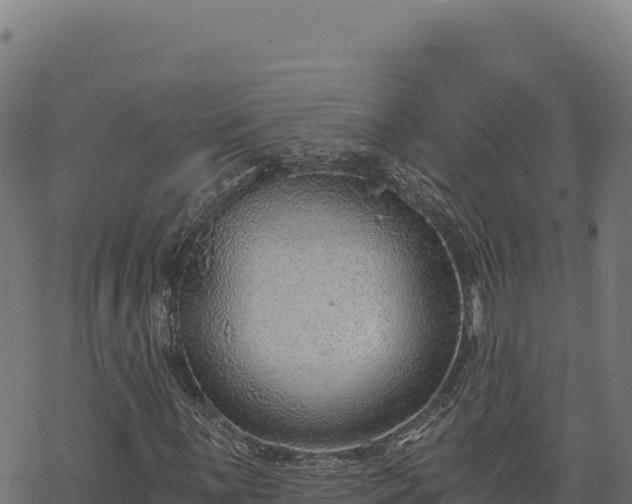 X0000068831059200605121335