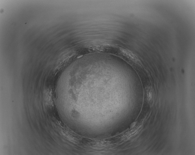 X0000068831060200605121335