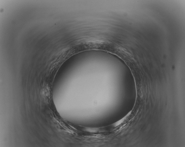 X0000068831061200605121335