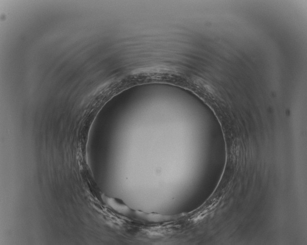 X0000068831062200605121335