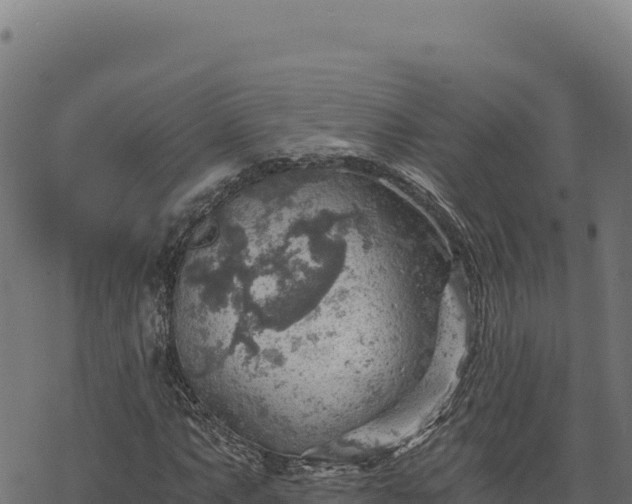 X0000068831063200605121335