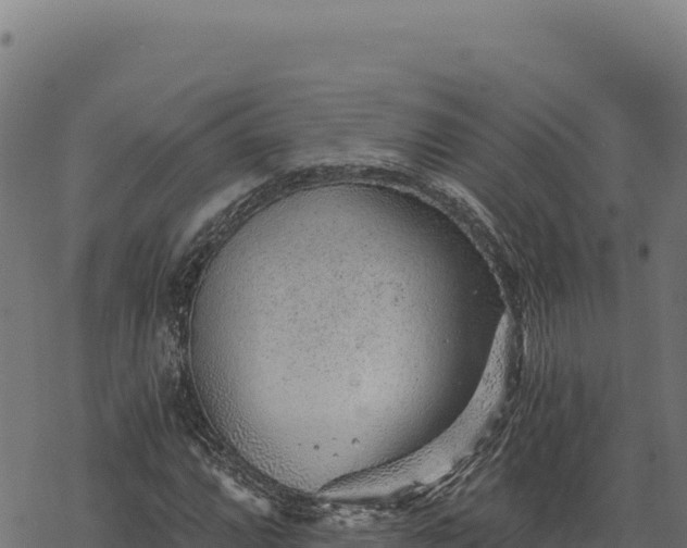 X0000068831064200605121335