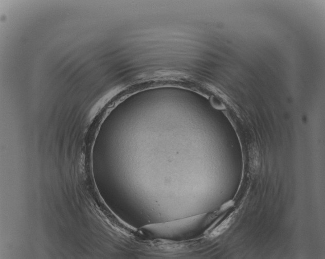 X0000068831066200605121335