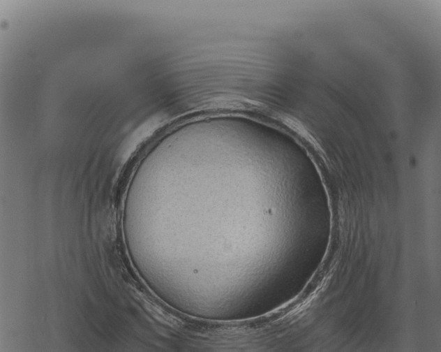 X0000068831067200605121335