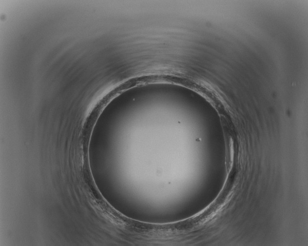 X0000068831069200605121335