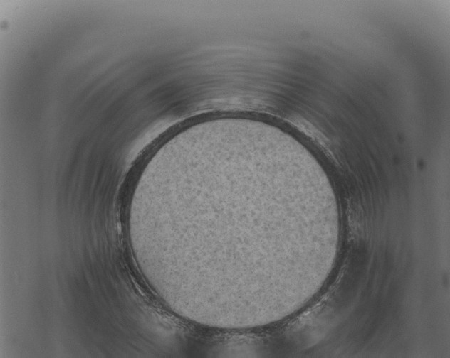 X0000068831070200605121335