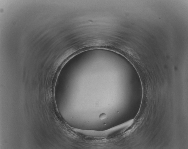 X0000068831073200605121335