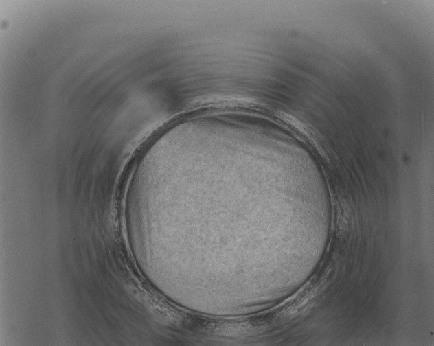 X0000068831074200605121335