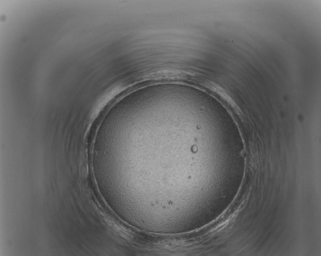 X0000068831075200605121335