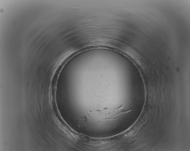 X0000068831076200605121335