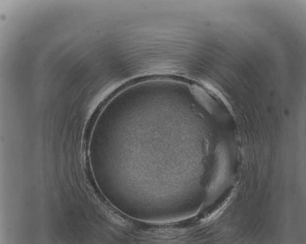 X0000068831077200605121335