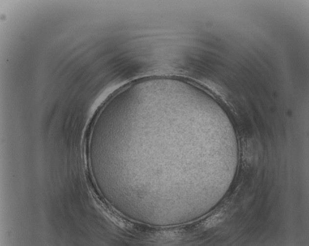 X0000068831078200605121335