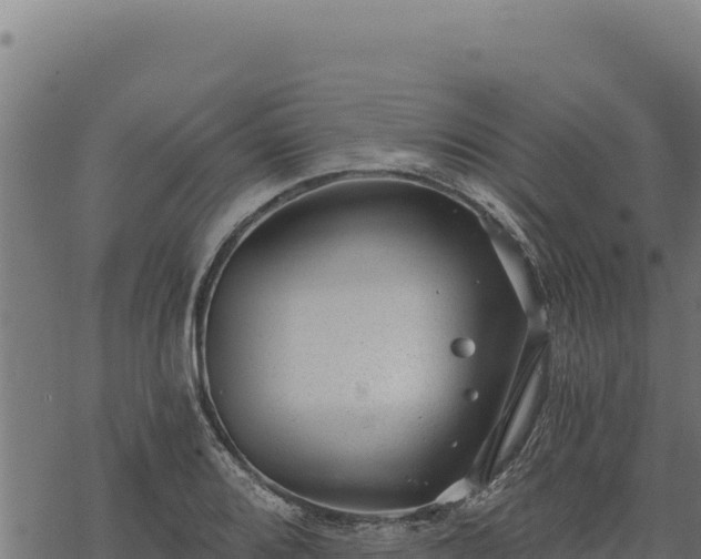 X0000068831080200605121335