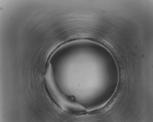 X0000068831081200605121335