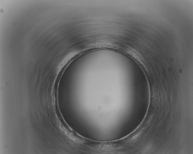 X0000068831082200605121335