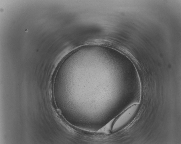 X0000068831083200605121335