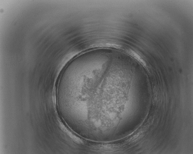 X0000068831084200605121335