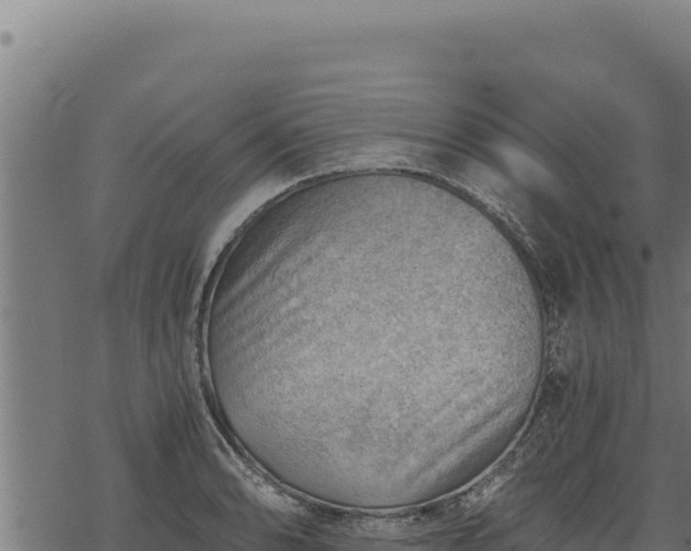 X0000068831086200605121335