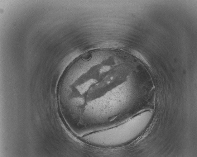 X0000068831087200605121335