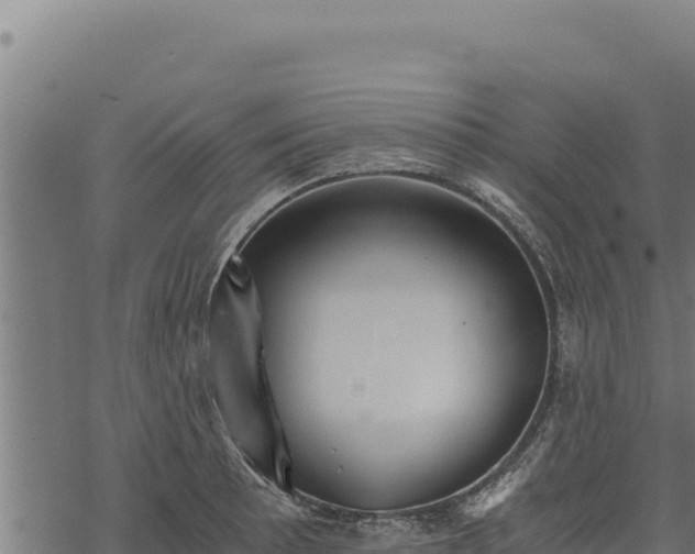 X0000068831089200605121335