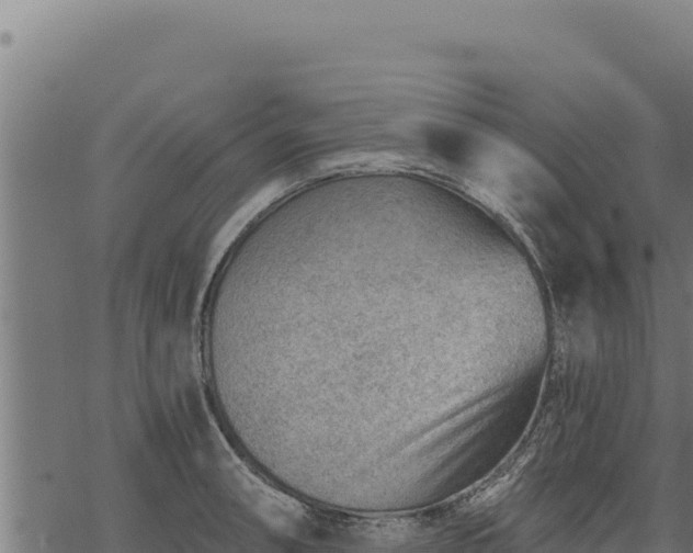 X0000068831090200605121335